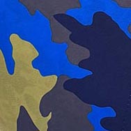 Sinine-kollane kamuflaaž